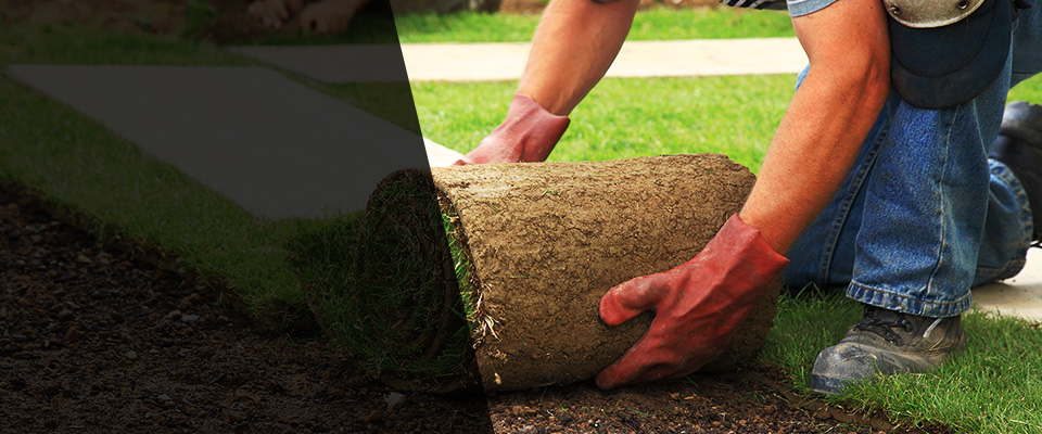 Harker Heights Landscapers